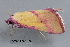  ( - MDOK-3422)  @12 [ ] Copyright (2010) Unspecified Unspecified
