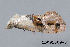  ( - MDOK-3424)  @12 [ ] Copyright (2010) Unspecified Unspecified