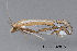  ( - MDOK-3426)  @12 [ ] Copyright (2010) Unspecified Unspecified