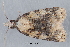  ( - MDOK-3436)  @12 [ ] Copyright (2010) Unspecified Unspecified