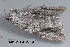 ( - MDOK-3441)  @12 [ ] Copyright (2010) Unspecified Unspecified