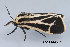  ( - MDOK-3443)  @12 [ ] Copyright (2010) Unspecified Unspecified