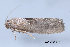  ( - MDOK-3456)  @12 [ ] Copyright (2010) Unspecified Unspecified