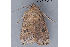  ( - MDOK-3515)  @12 [ ] CreativeCommons - Attribution (2009) Unspecified Centre for Biodiversity Genomics
