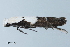  ( - MDOK-3741)  @12 [ ] CreativeCommons - Attribution Non-Commercial No Derivatives (2010) Unspecified Unspecified