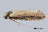  ( - MDOK-3949)  @13 [ ] CreativeCommons - Attribution (2010) CBG Photography Group Centre for Biodiversity Genomics