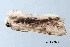  ( - BIOUG02920-A03)  @13 [ ] CreativeCommons - Attribution Non-Commercial No Derivatives (2012) Mark J. Dreiling Unspecified
