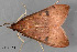  ( - BIOUG02920-C04)  @12 [ ] CreativeCommons - Attribution Non-Commercial No Derivatives (2012) Mark J. Dreiling Unspecified