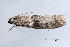  ( - BIOUG02920-C11)  @12 [ ] CreativeCommons - Attribution Non-Commercial No Derivatives (2012) Mark J. Dreiling Unspecified