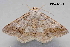  ( - MDOK-4408)  @14 [ ] CreativeCommons - Attribution Non-Commercial No Derivatives (2011) Mark J. Dreiling Unspecified