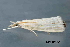  ( - MDOK-4422)  @13 [ ] CreativeCommons - Attribution Non-Commercial No Derivatives (2011) Mark J. Dreiling Unspecified