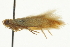  ( - MDOK-4507)  @12 [ ] CreativeCommons - Attribution (2011) CBG Photography Group Centre for Biodiversity Genomics