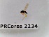  ( - BC-LPRCorse2234)  @11 [ ] Copyright (2020) Marc Pollet Museum national d'Histoire naturelle