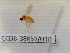  ( - CCDB-38859-H10)  @11 [ ] Creative common (2022) Marc Pollet Research Institute for Nature and Forest (INBO)
