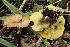  ( - LPRC5981)  @11 [ ] Copyright (2020) Nicolas Suberbielle Unspecified