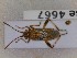  ( - BC4667)  @11 [ ] Copyright (2020) François Dusoullier Museum national d'Histoire naturelle