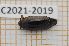  ( - LPRC2021-2019)  @11 [ ] By-SA Creative Common (2021) Rodolphe Rougerie Museum national d'Histoire naturelle, Paris