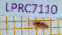  ( - LPRC7110)  @11 [ ] Copyright (2020) Franck Noël Unspecified