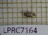  ( - LPRC7164)  @11 [ ] Copyright (2020) Franck Noel Unspecified
