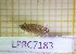 ( - LPRC7183)  @11 [ ] Copyright (2020) Franck Noel Unspecified