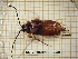  ( - BC-LPRCorse 4139)  @11 [ ] Copyright (2019) Rodolphe Rougerie Research Collection of Rodolphe Rougerie