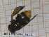  ( - BC-LPRCorse1812)  @11 [ ] Copyright (2020) Thomas Lebard Unspecified