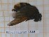  ( - BC-LPRCorse1816)  @11 [ ] Copyright (2020) Thomas Lebard Unspecified