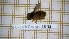  ( - BC-LPRCorse1845)  @11 [ ] Copyright (2020) Thomas Lebard Unspecified