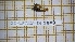  ( - BC-LPRCorse1849)  @11 [ ] Copyright (2020) Thomas Lebard Unspecified