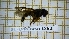  ( - BC-LPRCorse1852)  @11 [ ] Copyright (2020) Thomas Lebard Unspecified
