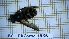  ( - BC-LPRCorse1866)  @11 [ ] Copyright (2020) Thomas Lebard Unspecified