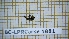  ( - BC-LPRCorse1881)  @11 [ ] Copyright (2020) Thomas Lebard Unspecified