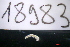  ( - 18983-AN-ND-01)  @11 [ ] Creative Commons (2025) Mathieu Coulis Research Collection of Mathieu Coulis