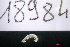  ( - 18984-AN-ND-01)  @11 [ ] Creative Commons (2025) Mathieu Coulis Research Collection of Mathieu Coulis