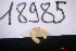  ( - 18985-AN-ND-01)  @11 [ ] Creative Commons (2025) Mathieu Coulis Research Collection of Mathieu Coulis