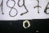  ( - 18976-HOEL2)  @11 [ ] Creative Commons (2025) Mathieu Coulis Research Collection of Mathieu Coulis