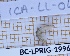  ( - BC-LPRIG-1996)  @11 [ ] CC-By (2025) Rodolphe Rougerie MNHN
