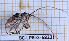 ( - BC-LPRIG-6823)  @11 [ ] CC-By (2025) Rodolphe Rougerie MNHN