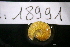  ( - 18991-P6)  @11 [ ] Creative Commons (2025) Mathieu Coulis Research Collection of Mathieu Coulis