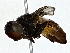  ( - BIOUG79405-F01)  @11 [ ] CreativeCommons - Attribution (2022) CBG Photography Group Centre for Biodiversity Genomics