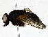  ( - BIOUG79405-H03)  @11 [ ] CreativeCommons - Attribution (2022) CBG Photography Group Centre for Biodiversity Genomics