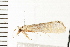  ( - 08BBLEP-01734)  @12 [ ] CreativeCommons - Attribution (2008) Unspecified Centre for Biodiversity Genomics