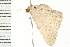  ( - 08BBLEP-01766)  @13 [ ] CreativeCommons - Attribution (2008) Unspecified Centre for Biodiversity Genomics