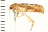  ( - 08BBLEP-01784)  @12 [ ] CreativeCommons - Attribution (2008) Unspecified Centre for Biodiversity Genomics