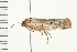  ( - 08BBLEP-01816)  @11 [ ] CreativeCommons - Attribution (2008) Unspecified Centre for Biodiversity Genomics