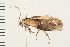  ( - 08BBLEP-01831)  @12 [ ] CreativeCommons - Attribution (2008) Unspecified Centre for Biodiversity Genomics