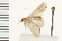  ( - 08BBLEP-01854)  @12 [ ] CreativeCommons - Attribution (2008) Unspecified Centre for Biodiversity Genomics