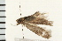  ( - 08BBLEP-01858)  @12 [ ] CreativeCommons - Attribution (2008) Unspecified Centre for Biodiversity Genomics