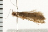  ( - 08BBLEP-01890)  @13 [ ] CreativeCommons - Attribution (2008) Unspecified Centre for Biodiversity Genomics