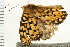  ( - 08BBLEP-01912)  @12 [ ] CreativeCommons - Attribution (2008) Unspecified Centre for Biodiversity Genomics
